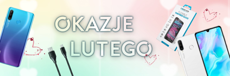 Okazje lutego 